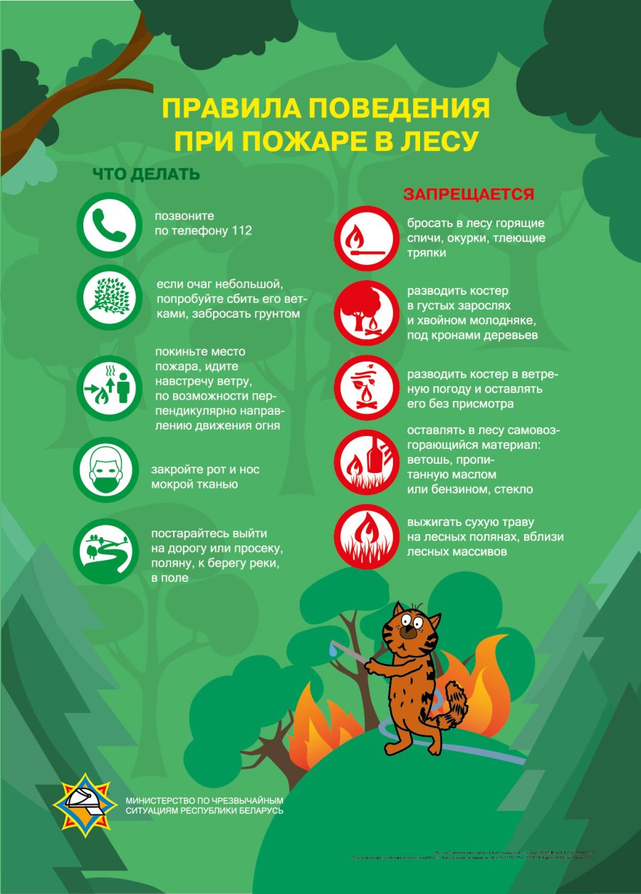 Внимание! Лесные пожары!