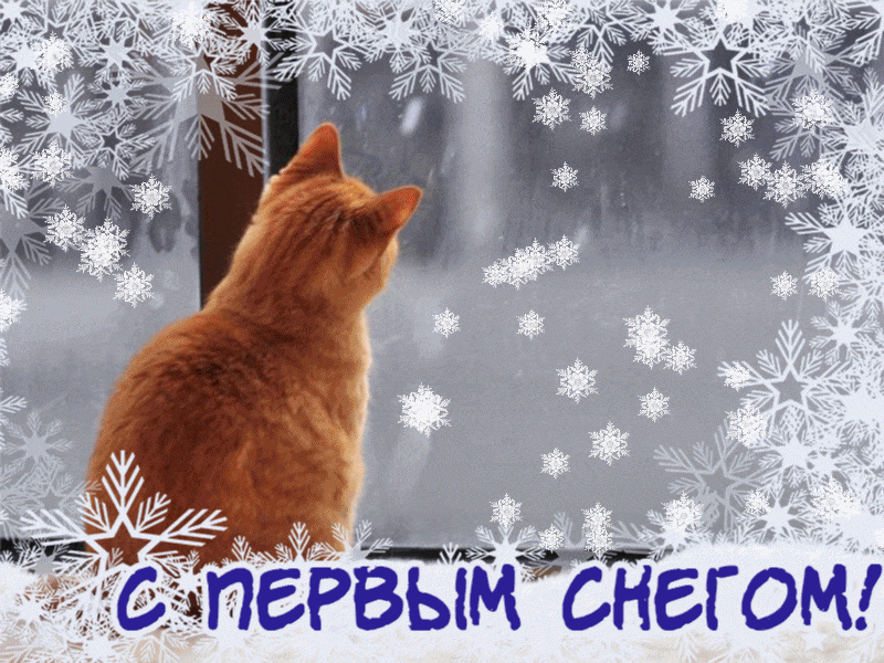 Первый снег на радость детям!