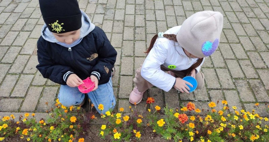 Сбор семян цветов