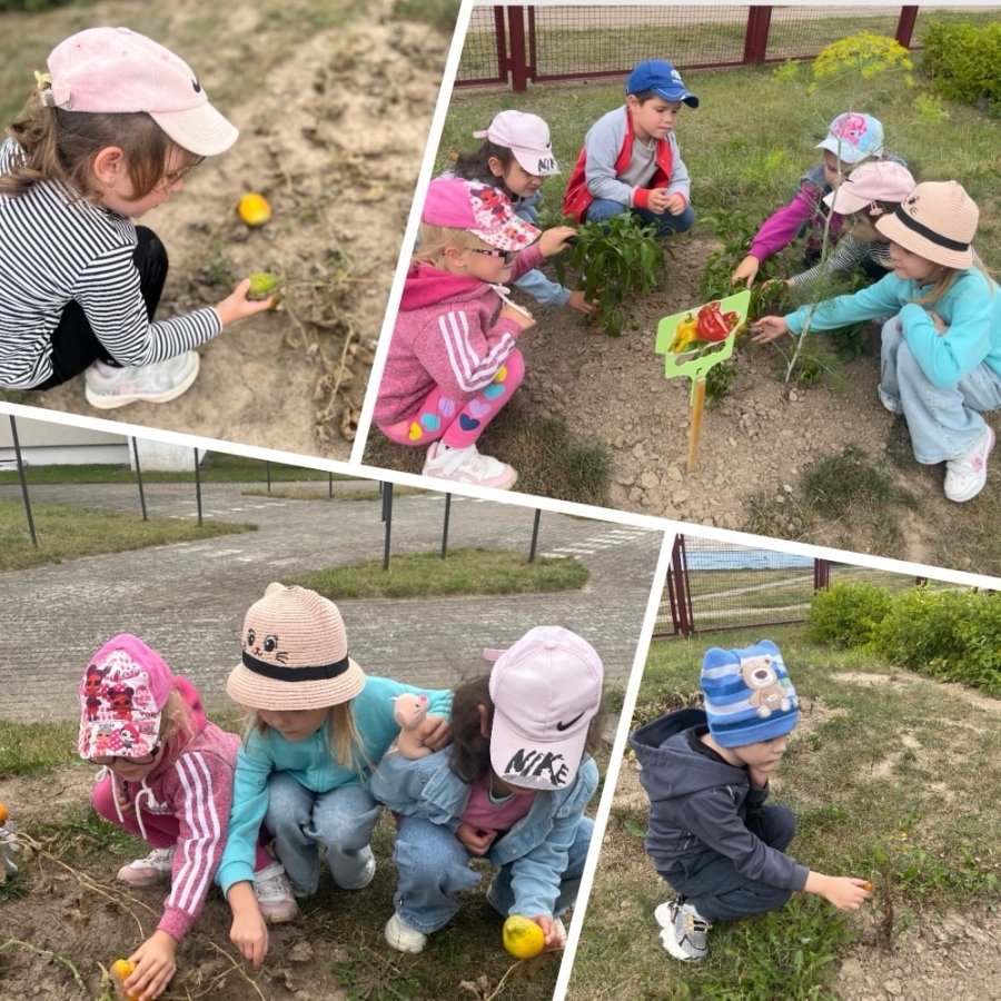 Осенний урожай